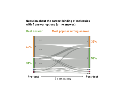 Modified figure from A. Champagne Queloz's paper on students misconceptions (Debunking Key and Lock Biology: Exploring the prevalence and persistence of students' misconceptions on the nature and flexibility of molecular interaction, 2016)