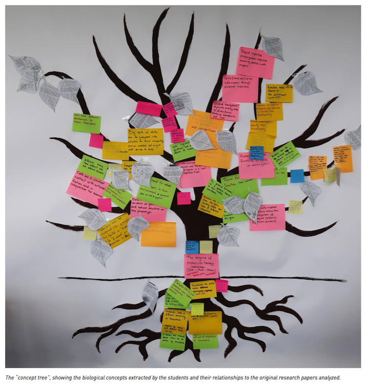 idea tree