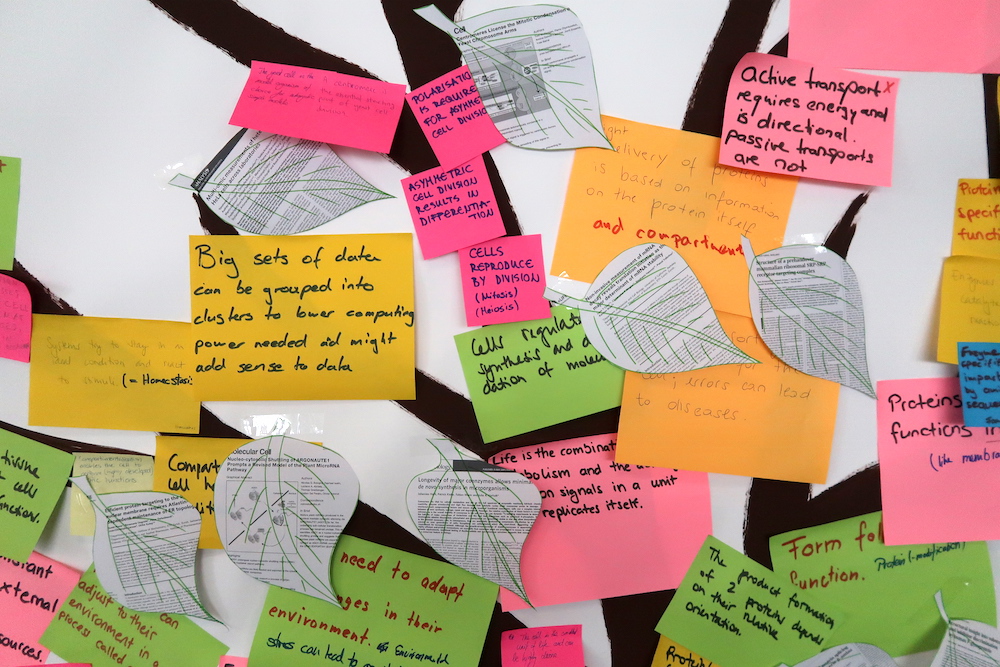 Post-its with concepts arranged in a concept-tree.