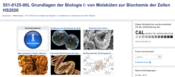 Enlarged view: moodle front